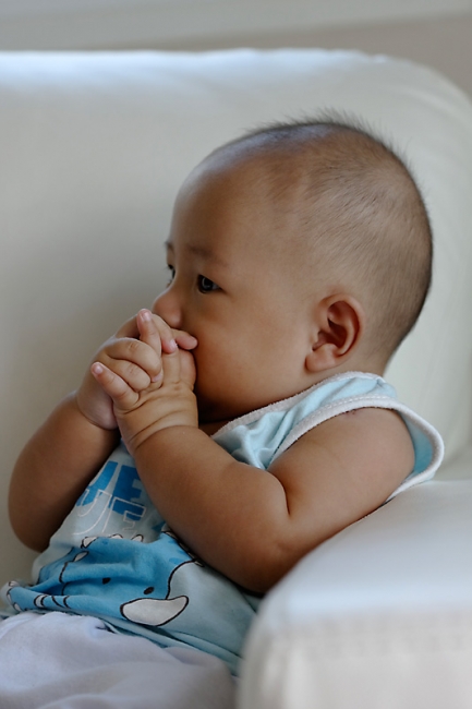 Famille & Amis-Sharp-009